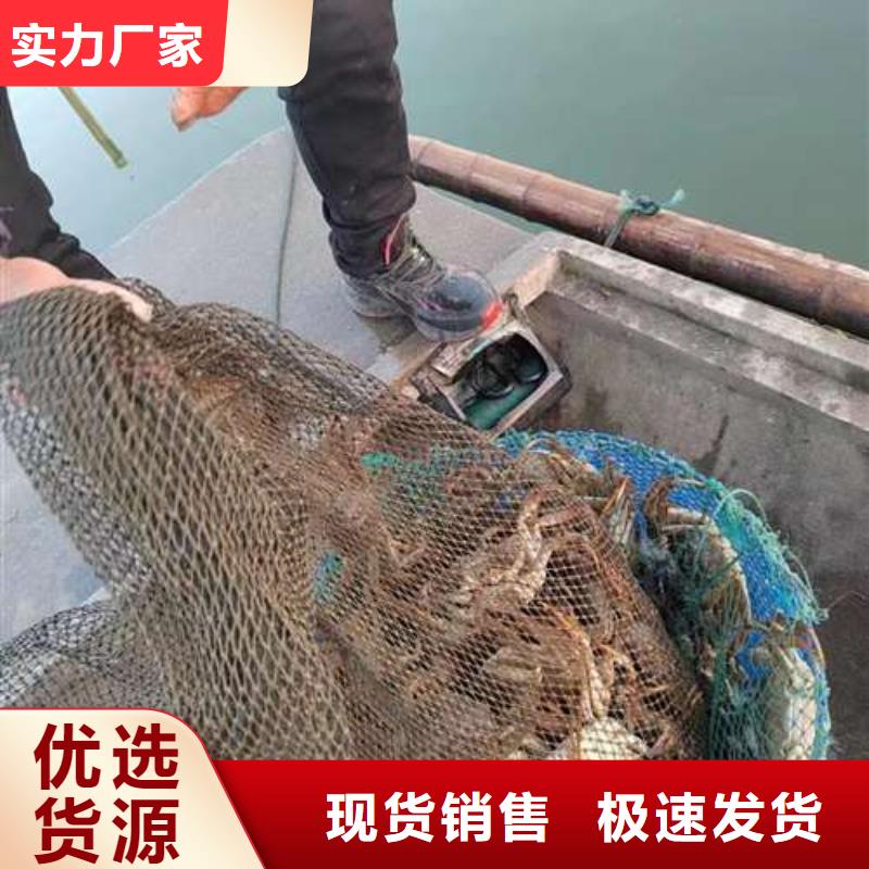 阳澄湖大闸蟹值得信赖