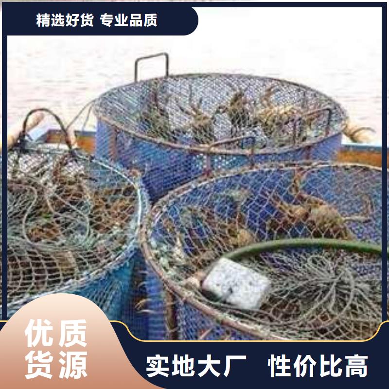 阳澄湖大闸蟹品质与价格同行