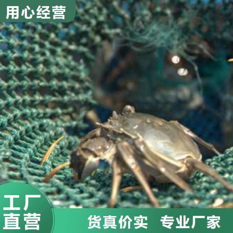 阳澄湖大闸蟹出厂报价