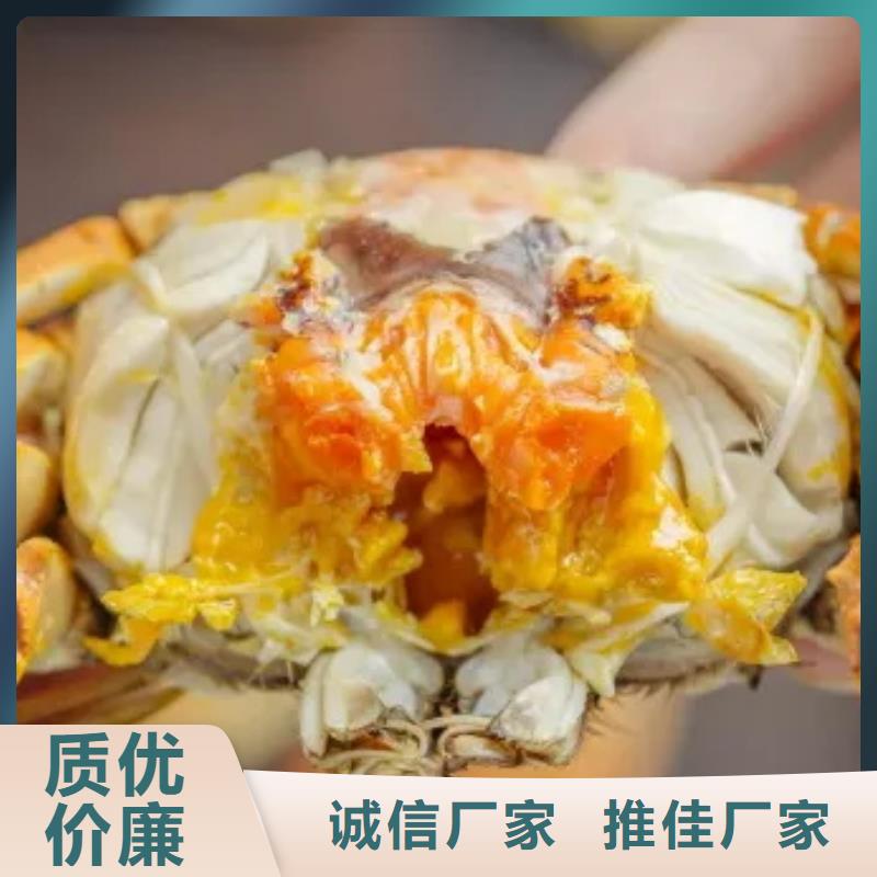 广州市螃蟹价格行情