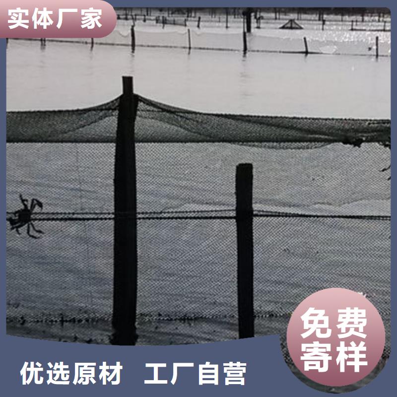 珠海市南方大螃蟹礼盒