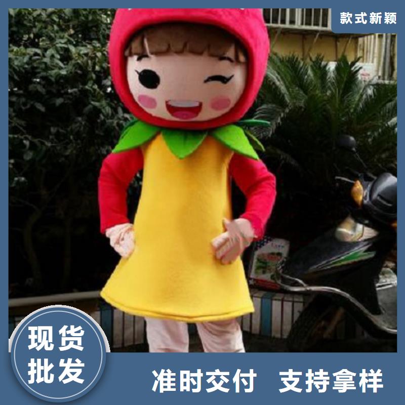 山东济南卡通人偶服装制作定做/人扮吉祥物套装