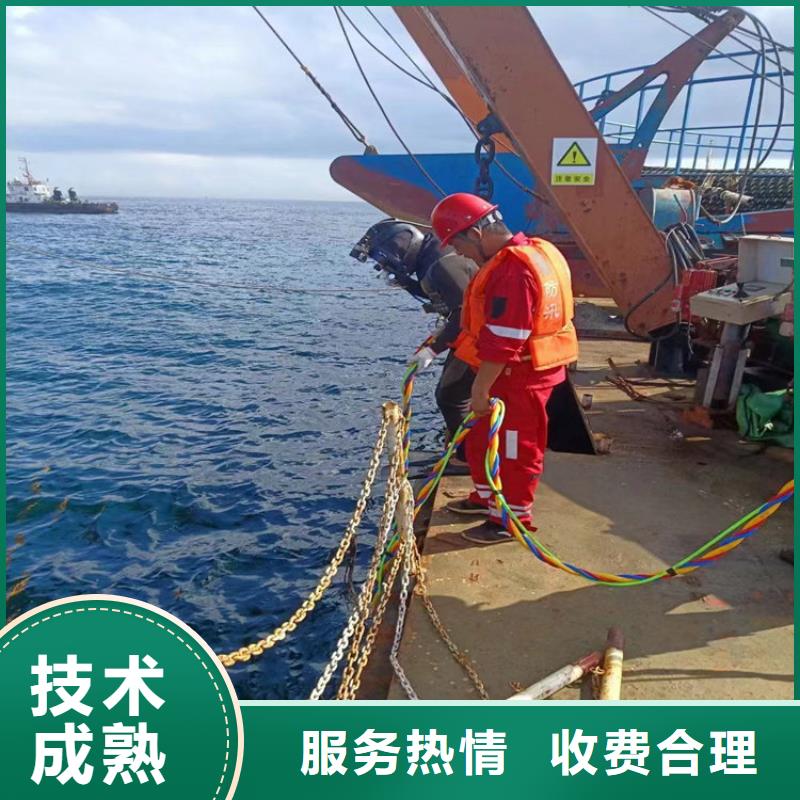 江苏咨询市潜水员作业服务公司 水下作业施工单位