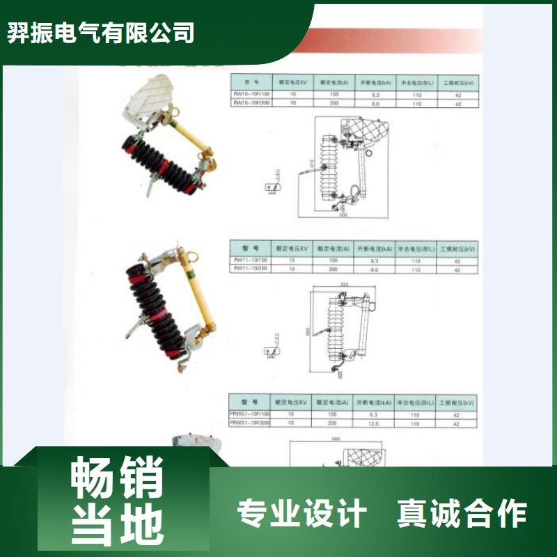 高压熔断器/HRW4-10KV/100.