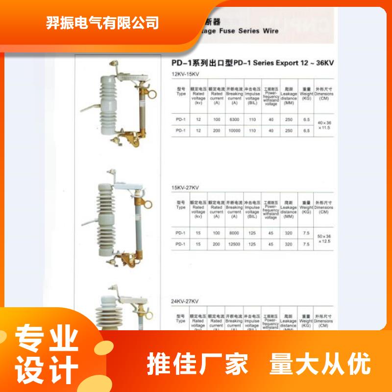 高压熔断器/HPRW6-12/100A【浙江羿振电气有限公司】