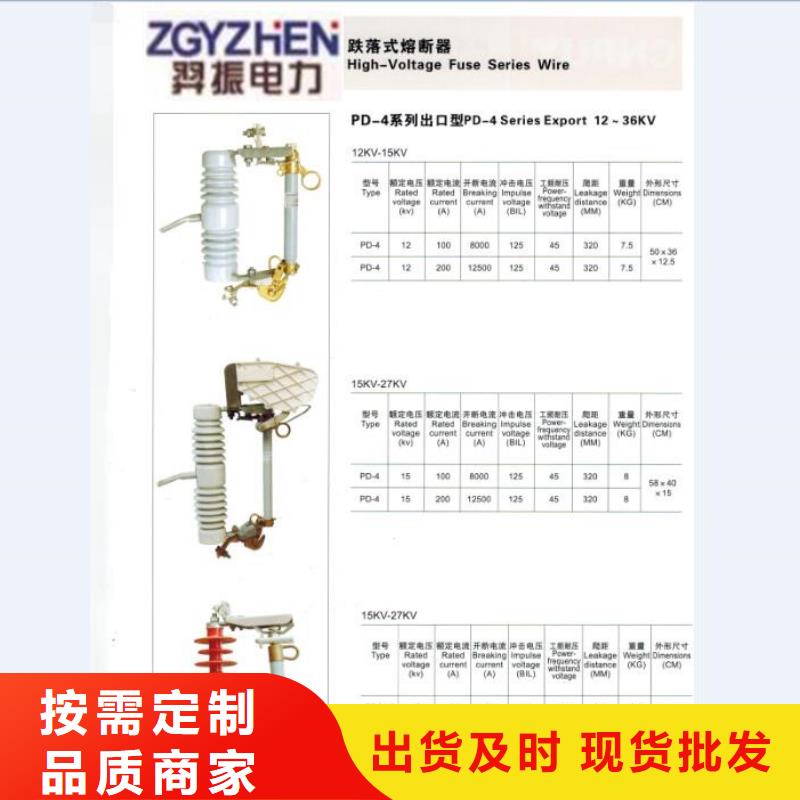 高压熔断器/RW7-10KV/100.