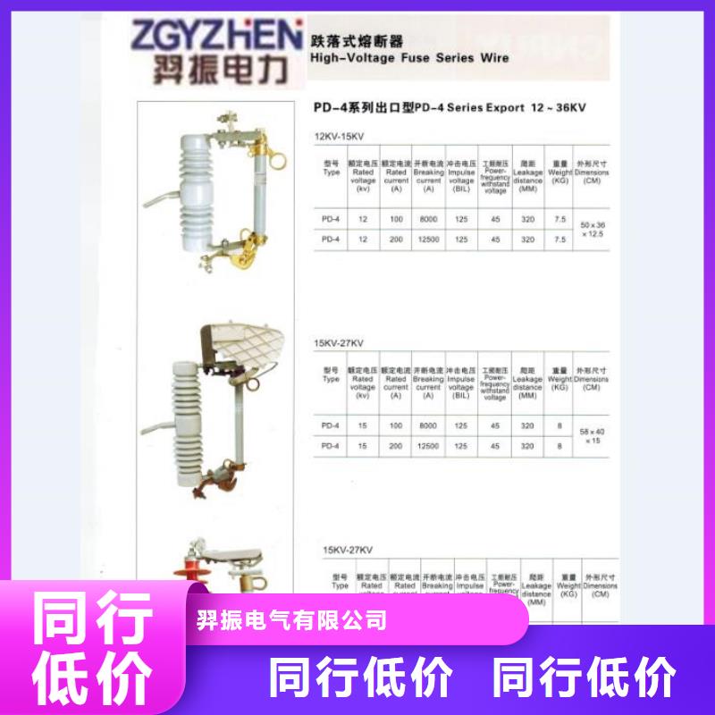 高压熔断器RW12-10KV/200A