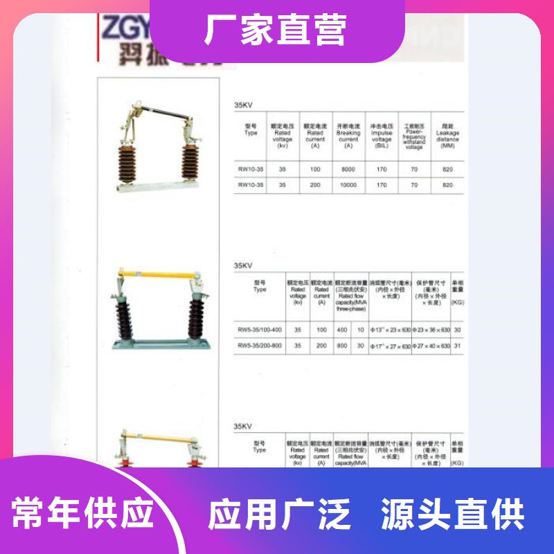 【跌落保险】RW12-15/100A