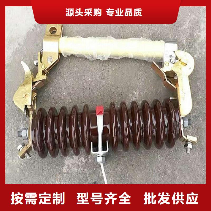 高压熔断器/RW12-1010KV