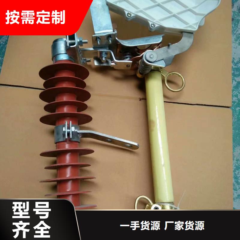 高压熔断器/RW12-1010KV