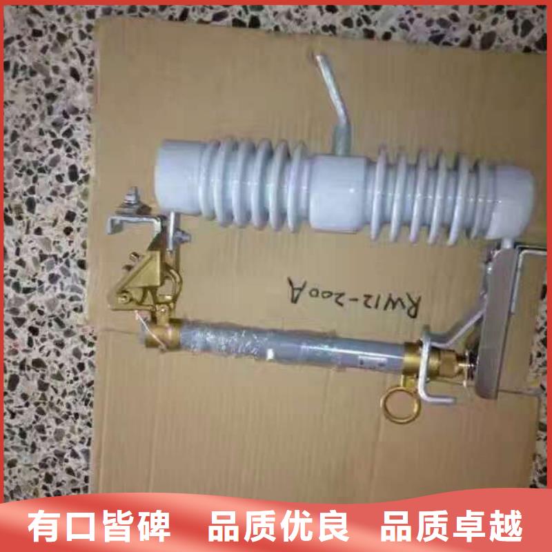 熔断器避雷器大品牌值得信赖