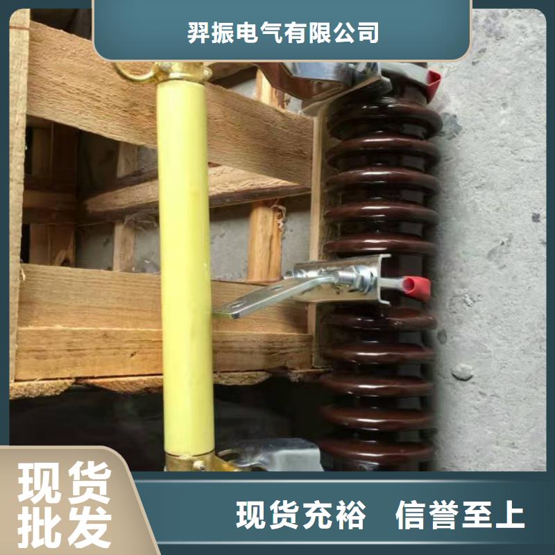 跌落式熔断器RW12-15/100A