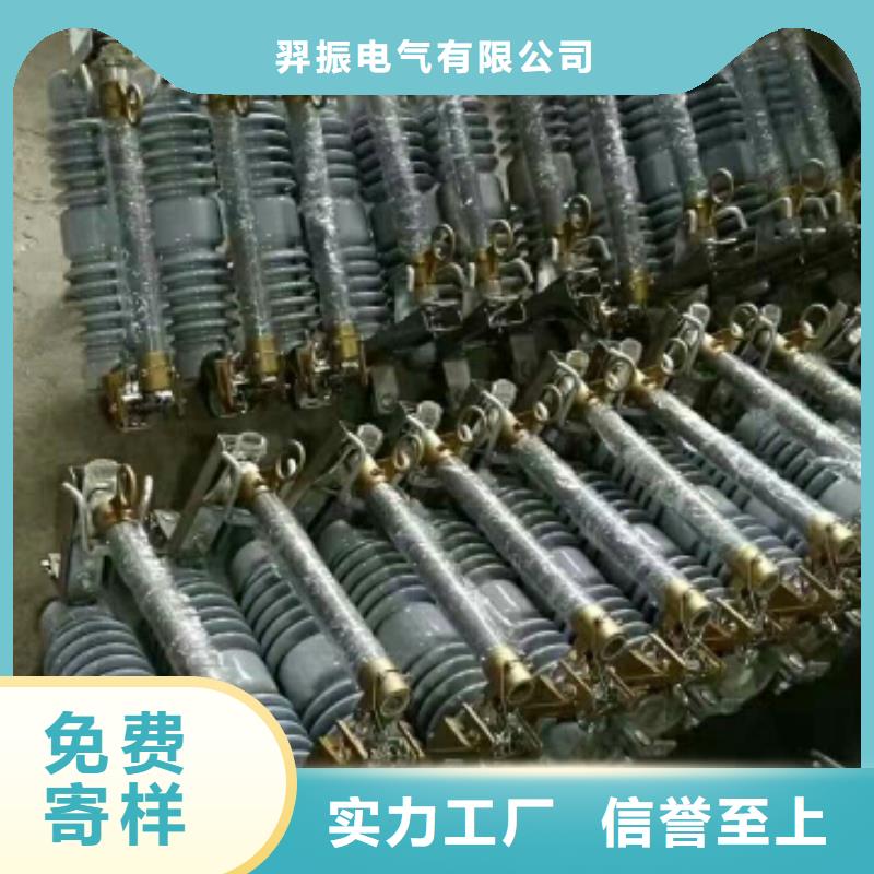 【跌落式熔断器】RW12-15/100浙江羿振电气有限公司