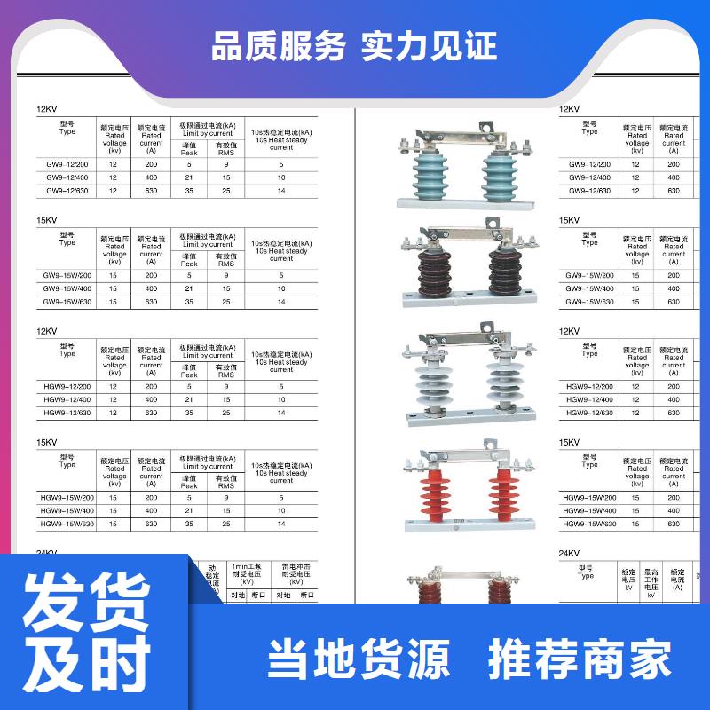 高压隔离开关【避雷器】每一处都是匠心制作