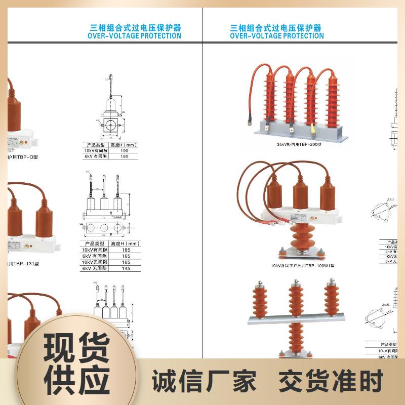 高压隔离开关35KV真空断路器品牌大厂家