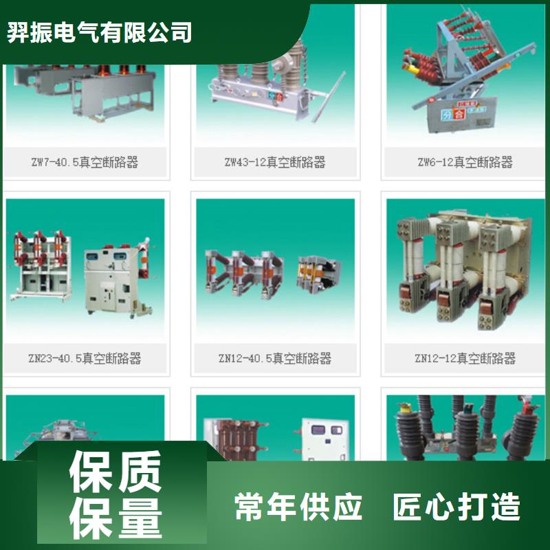 高压隔离开关避雷器质量不佳尽管来找我