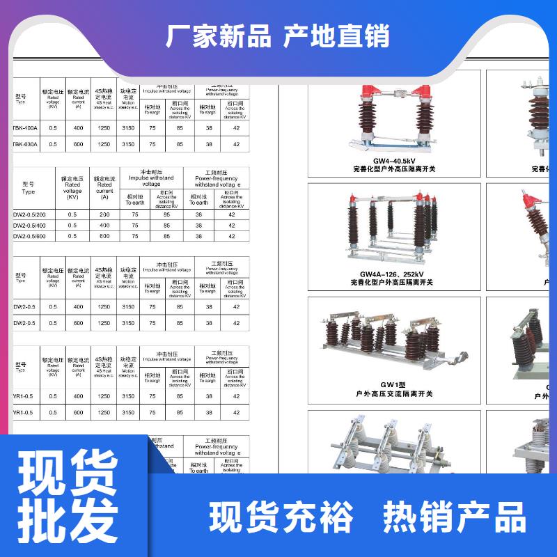 高压隔离开关双电源真空断路器专注细节使用放心