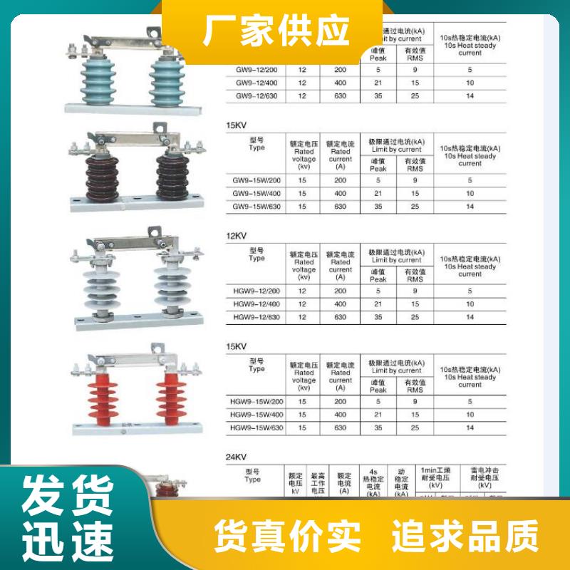 高压隔离开关_绝缘子生产型