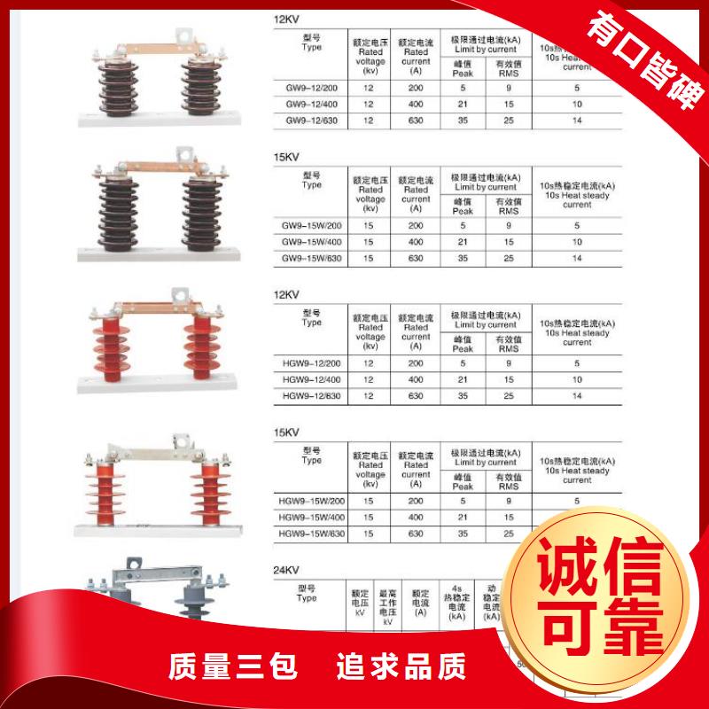 高压隔离开关【避雷器】严选好货