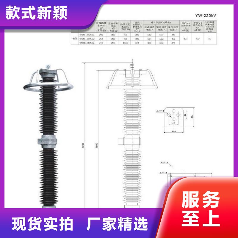 金属氧化物避雷器YH10WZ-51/134G【羿振电气】