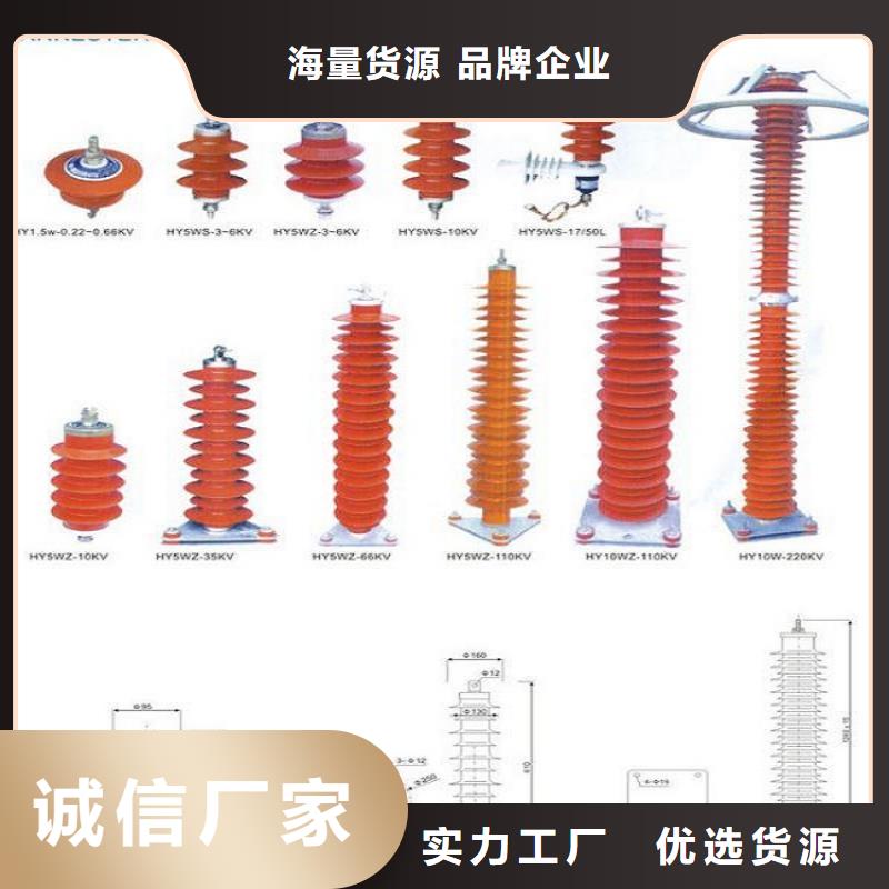 避雷器Y10W1-100/260W【羿振电气】