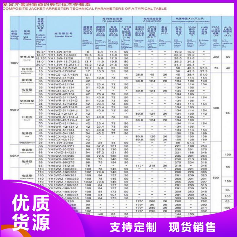 避雷器Y10W5-116/302GY浙江羿振电气有限公司