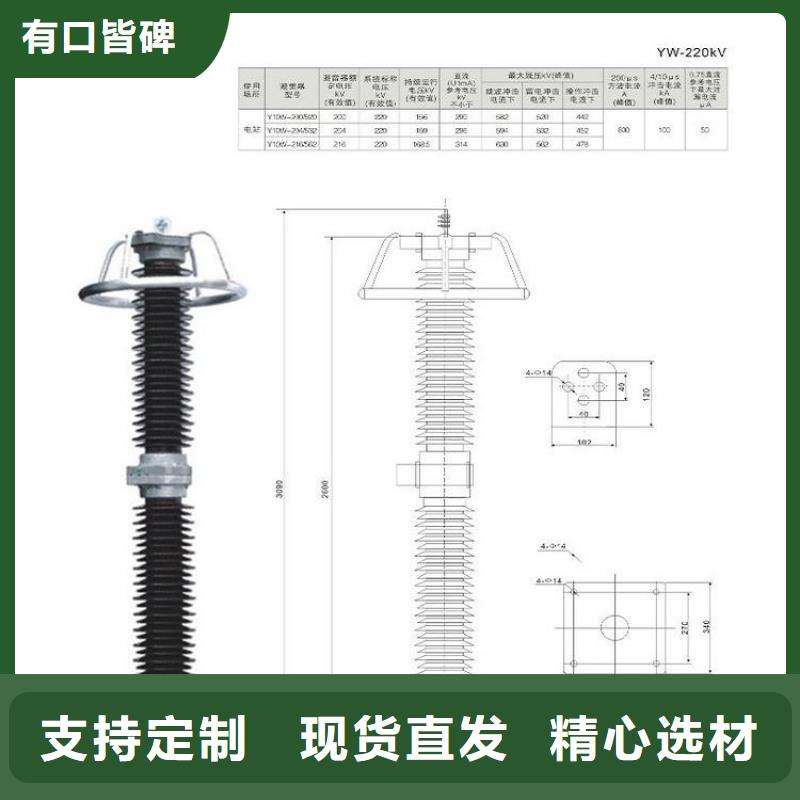 避雷器HTB5X-51/134