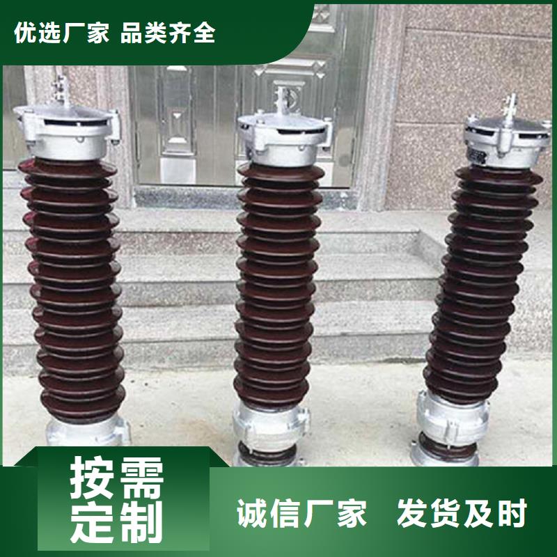 避雷器YH5WD-20/45【羿振电气】