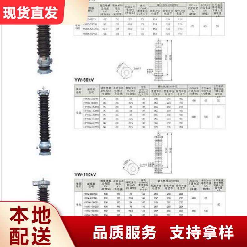 金属氧化物避雷器Y10W-192/500