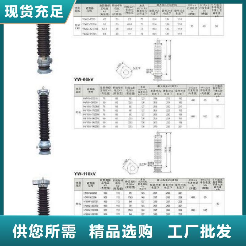 避雷器Y1W-100/260