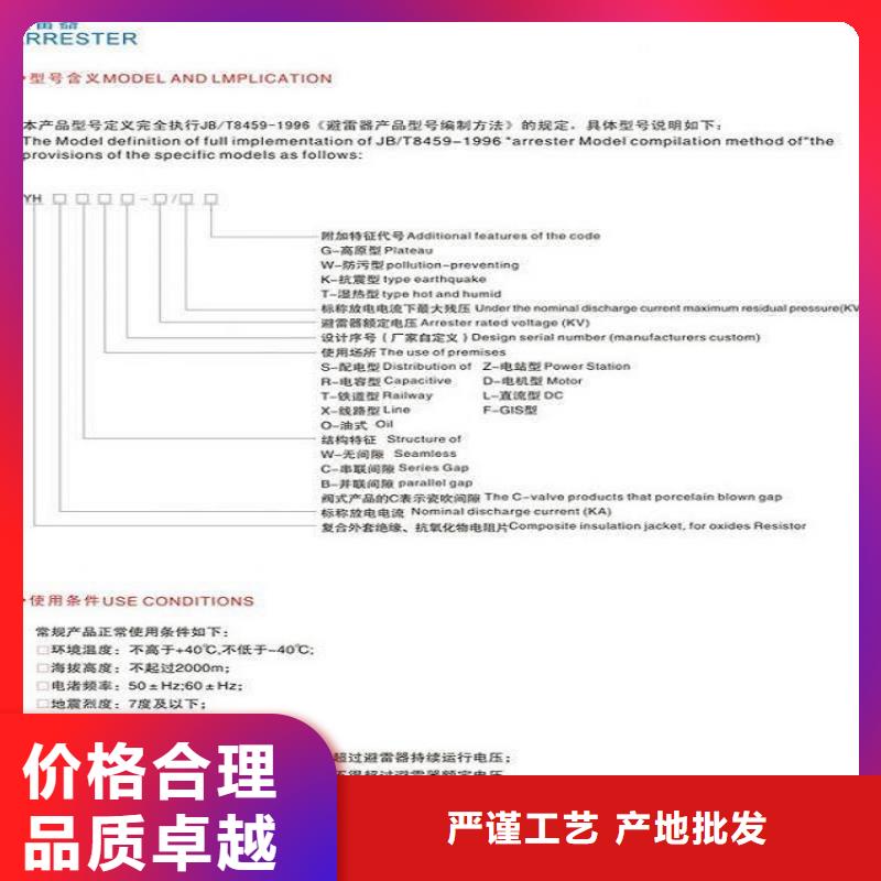 避雷器Y5WT1-42/120【上海羿振电力设备有限公司】