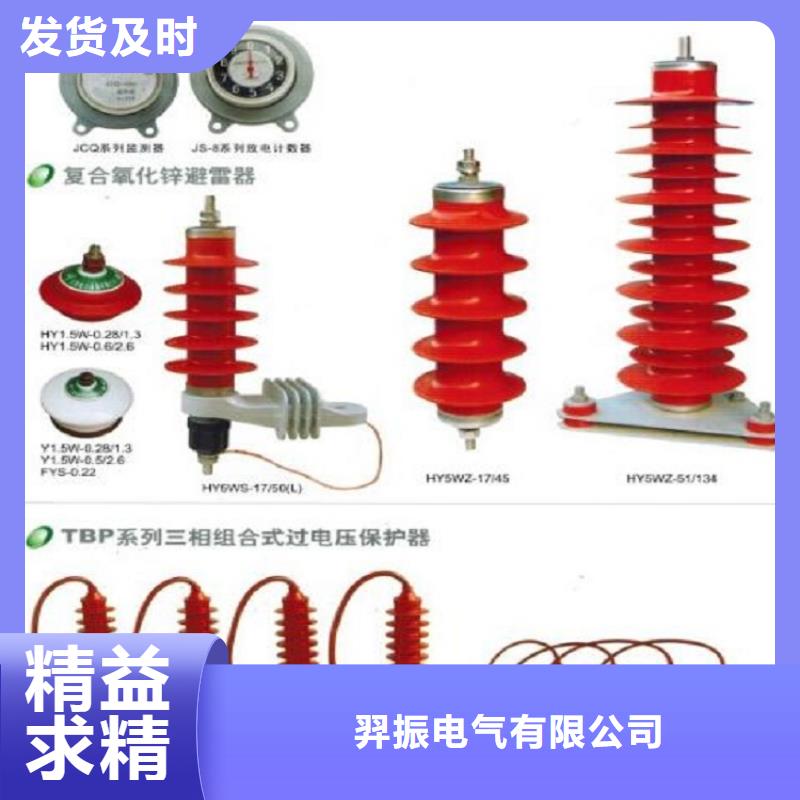 避雷器YIW-7.6/19【羿振电气】