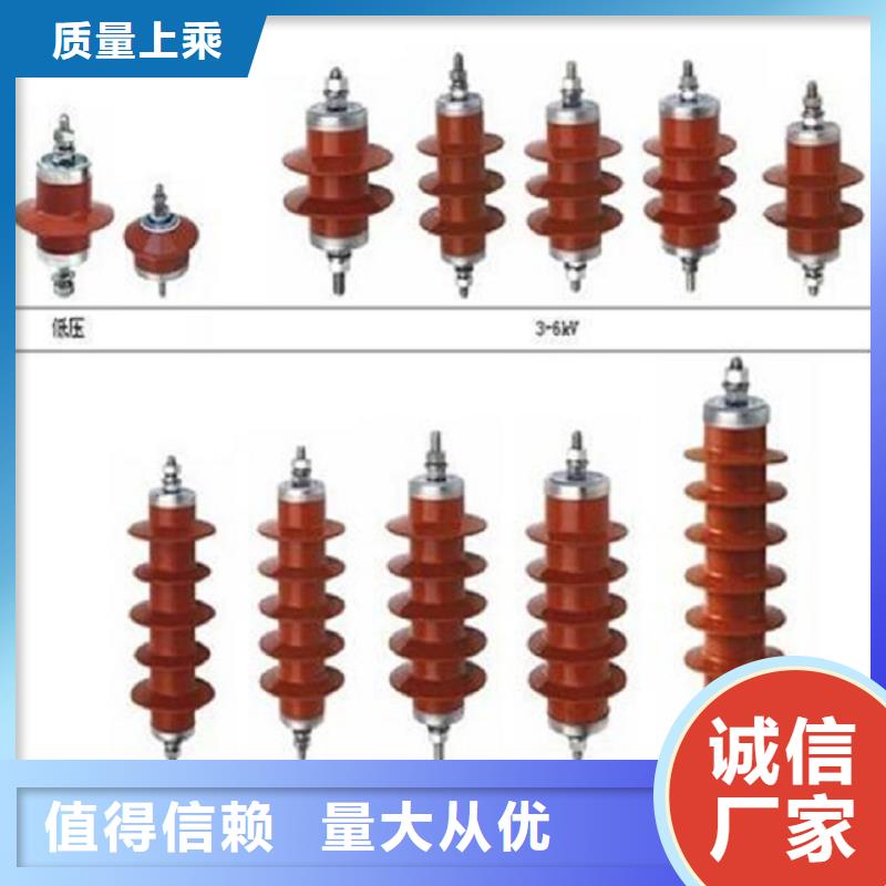 避雷器YH10WZ2-100/260S.