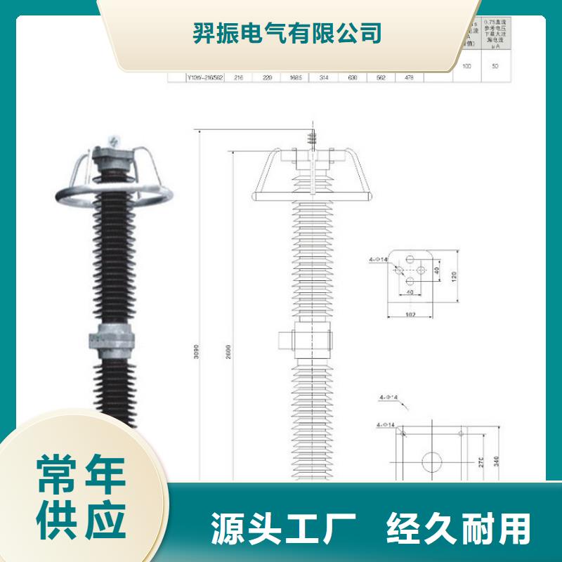 避雷器Y10W-108/281浙江羿振电气有限公司