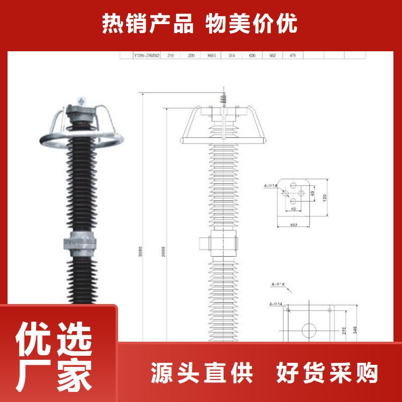 【羿振电气】避雷器YH2.5WD-13.5/31