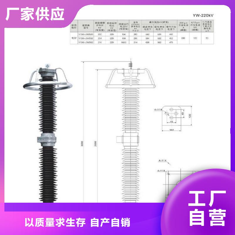 避雷器HY5WS-17/45TLB【羿振电气】