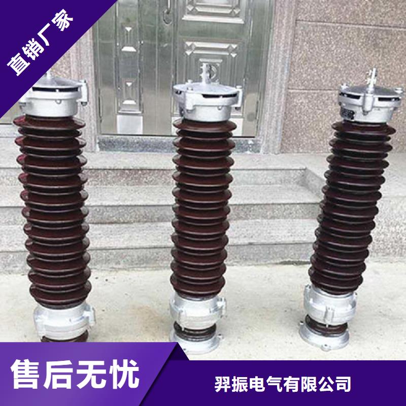 避雷器YH10W-90/235G【羿振电气】