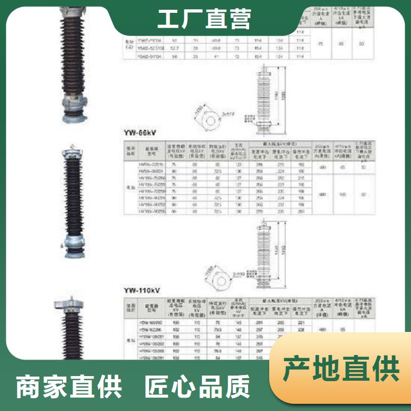 氧化锌避雷器Y5W-51/125欢迎电询