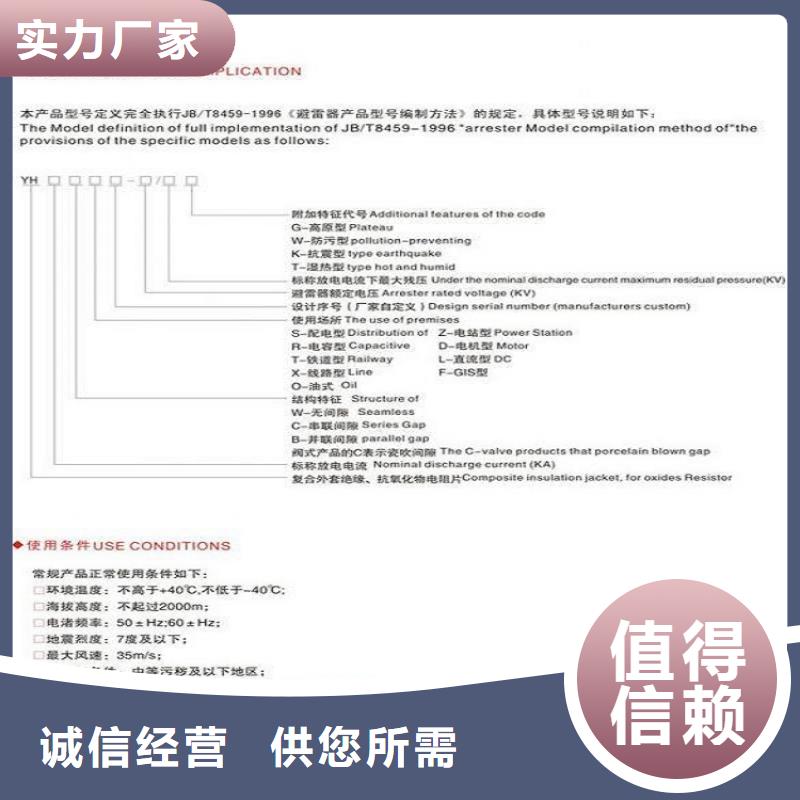 可卸式避雷器HY5WS-17/50DL-TB【浙江羿振电气有限公司】