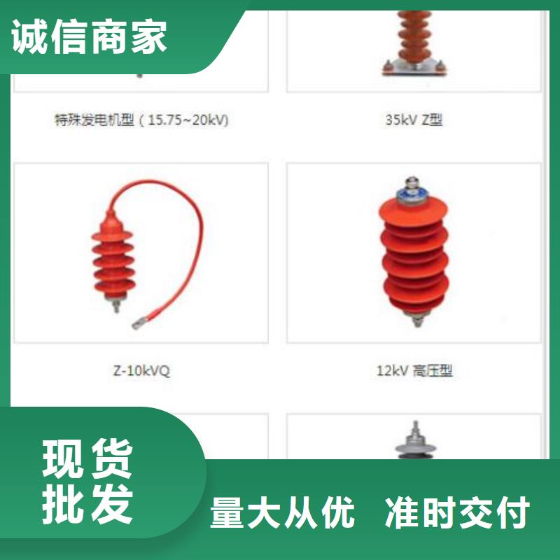 避雷器YH10W5-96/250GY【上海羿振电力设备有限公司】