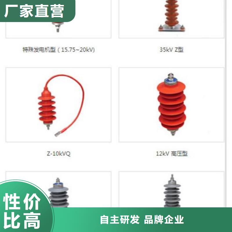 避雷器Y5WT1-42/120【上海羿振电力设备有限公司】