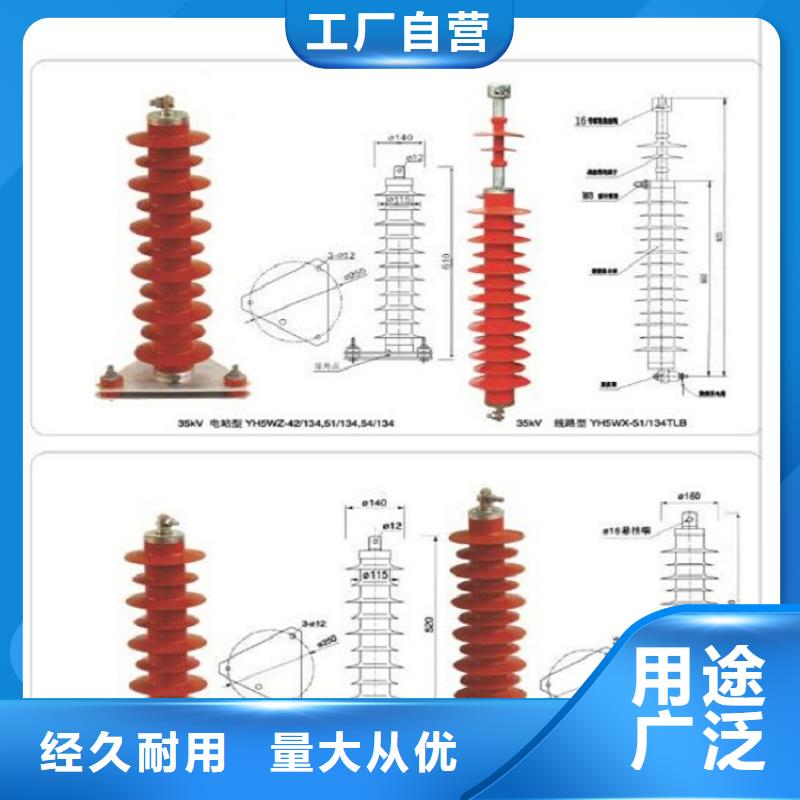 避雷器Y10W5-116/302GY浙江羿振电气有限公司