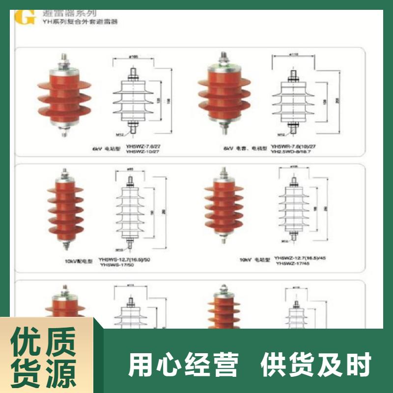 瓷外套金属氧化物避雷器Y10W-200/520【浙江羿振电气有限公司】