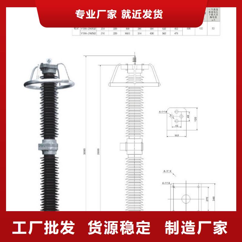 金属氧化物避雷器Y10W-192/500浙江羿振电气有限公司
