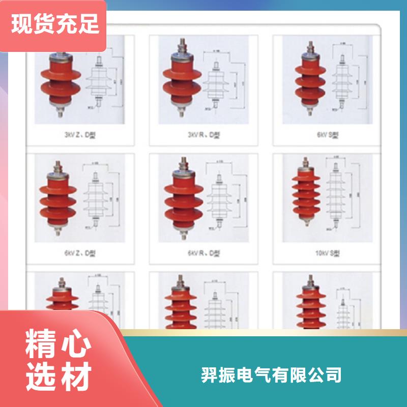 金属氧化物避雷器Y10W-192/500浙江羿振电气有限公司