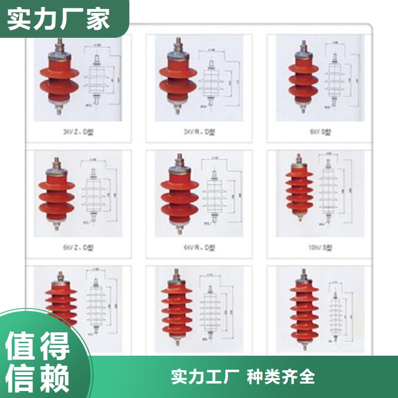瓷外套金属氧化物避雷器Y10W-200/520上海羿振电力设备有限公司