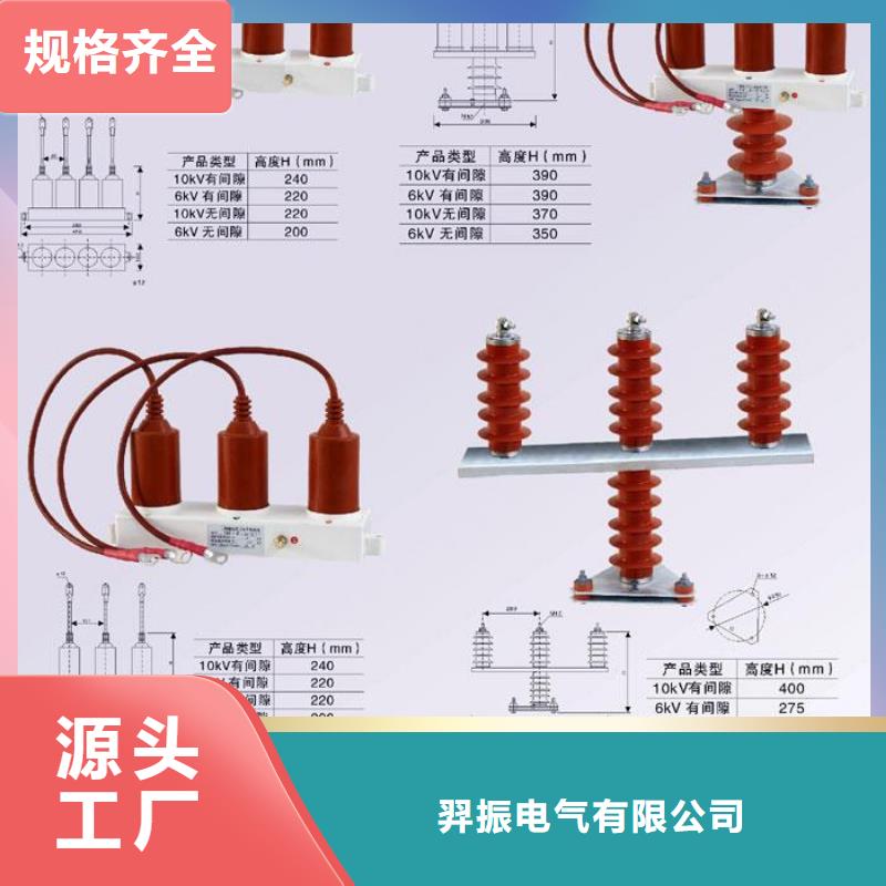 【组合式避雷器】TBP-C-12.7F/131