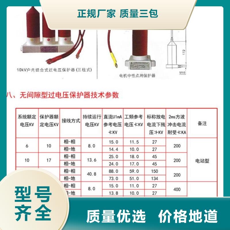 【组合式过电压保护器】TBP-A-42F/630W