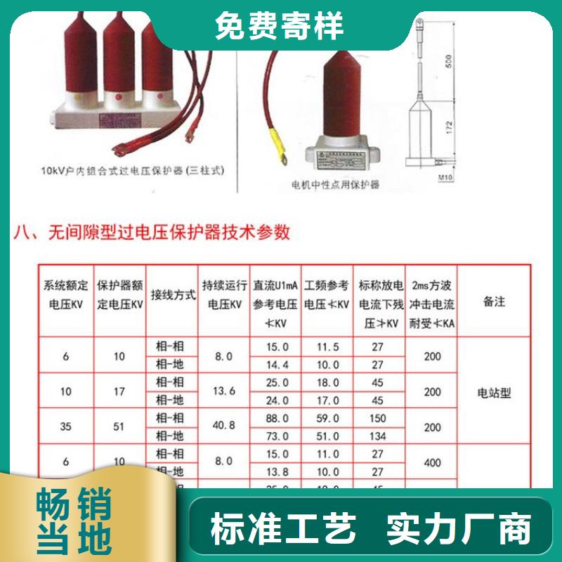 保护器(组合式避雷器)TBP-C-12.7/85