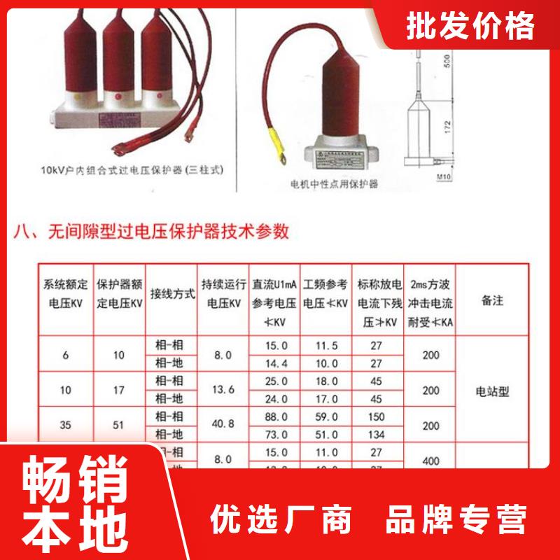 保护器(组合式避雷器)TBP-C-12.7/150-J